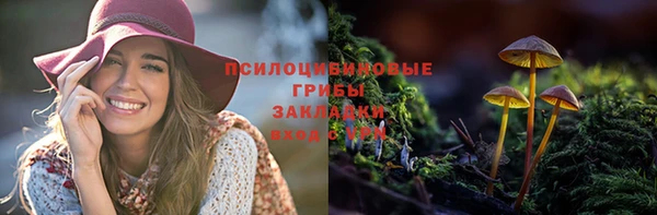 ПСИЛОЦИБИНОВЫЕ ГРИБЫ Белокуриха