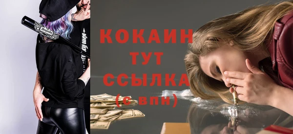 ПСИЛОЦИБИНОВЫЕ ГРИБЫ Белокуриха