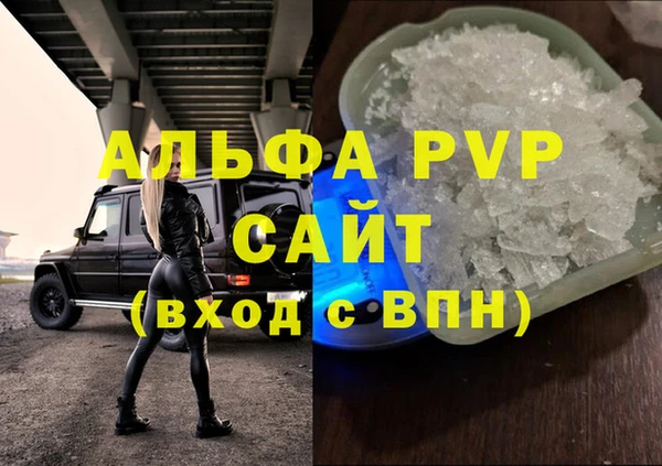 ПСИЛОЦИБИНОВЫЕ ГРИБЫ Белокуриха