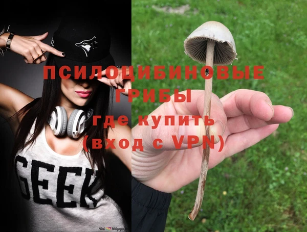ПСИЛОЦИБИНОВЫЕ ГРИБЫ Белокуриха