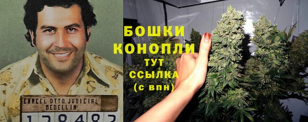 ПСИЛОЦИБИНОВЫЕ ГРИБЫ Белокуриха