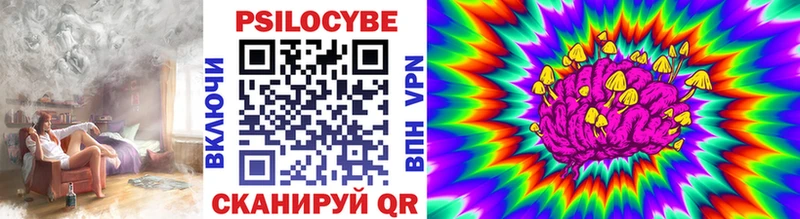 гидра ССЫЛКА  Нестеровская  Галлюциногенные грибы Psilocybine cubensis  цена наркотик 